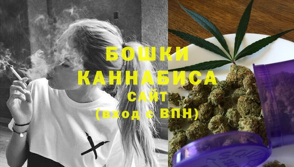 тгк Белокуриха